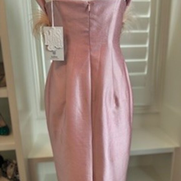 Glamorous Blush Pink Feather-Trim Evening Gown – Size Small - Brand New - Picture 10 of 14